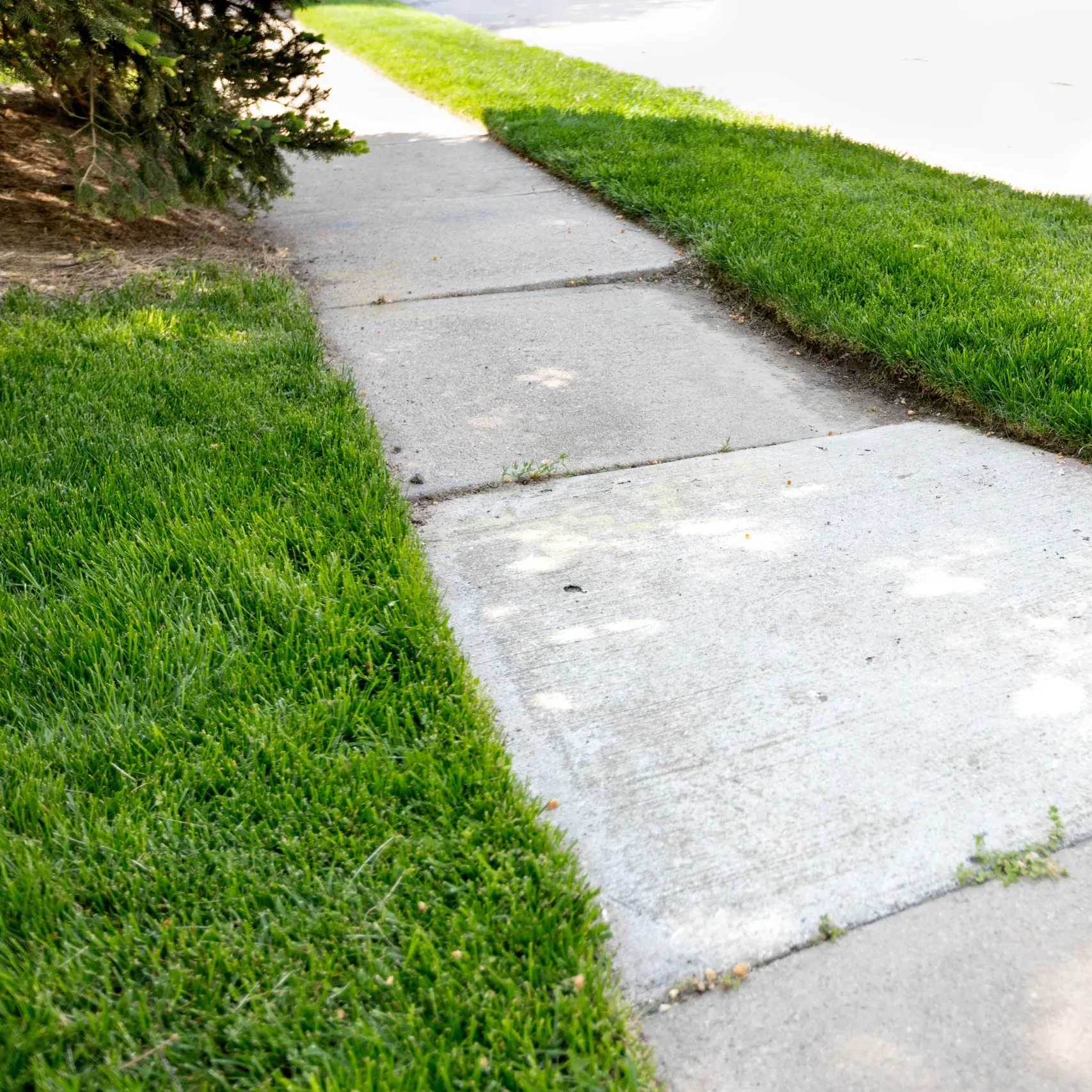 Image of concrete sidewalk sinking.