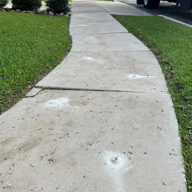 Uneven residential sidewalk in Terrell Hills with multiple settled concrete panels
