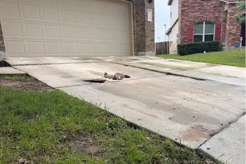 Customers driveway in Converse Texas with trip hazards and sinking slabs